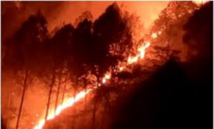Uttarakhand में वन विनाश: यह आग कब बुझ जाएगी? धधकते जंगलों में धुएं से सांस लेना मुश्किल, पर्यावरण को भारी नुकसान
