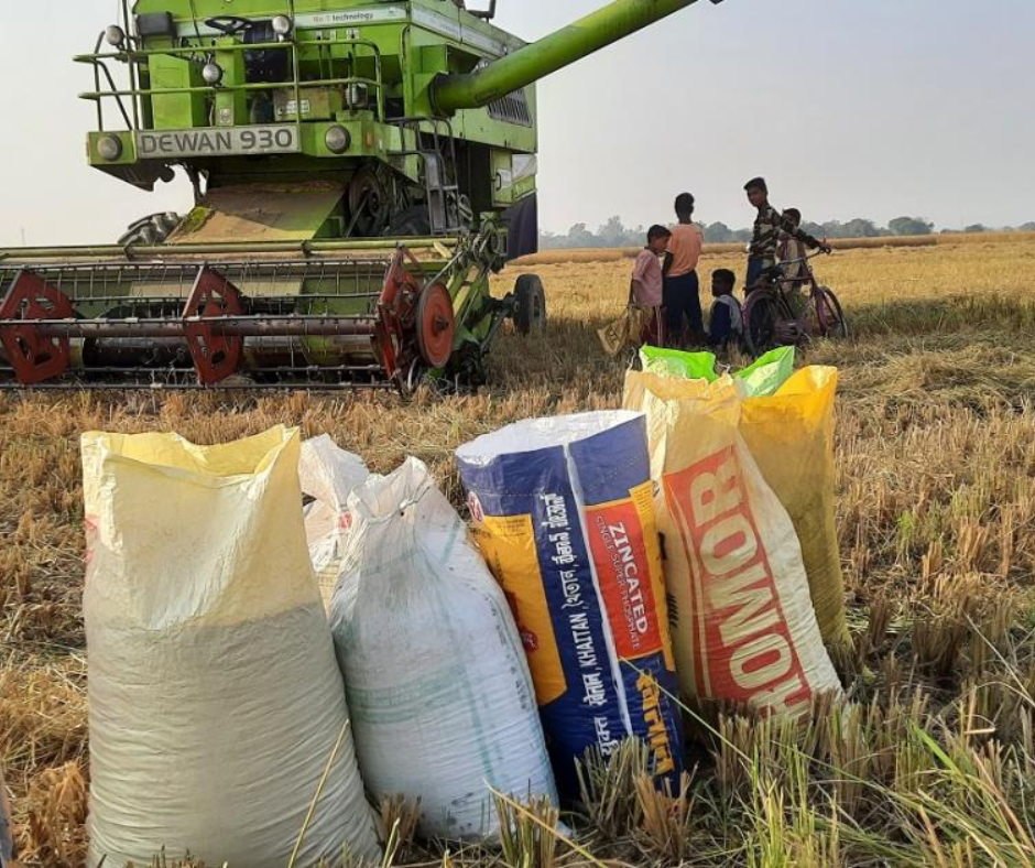 किसानों को एमएसपी से कम मूल्य पर मक्की-दाल बेचने का दबाव